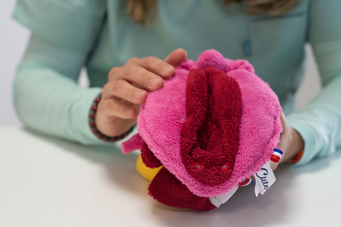 Explication du fonctionnement vulvaire par sage femme